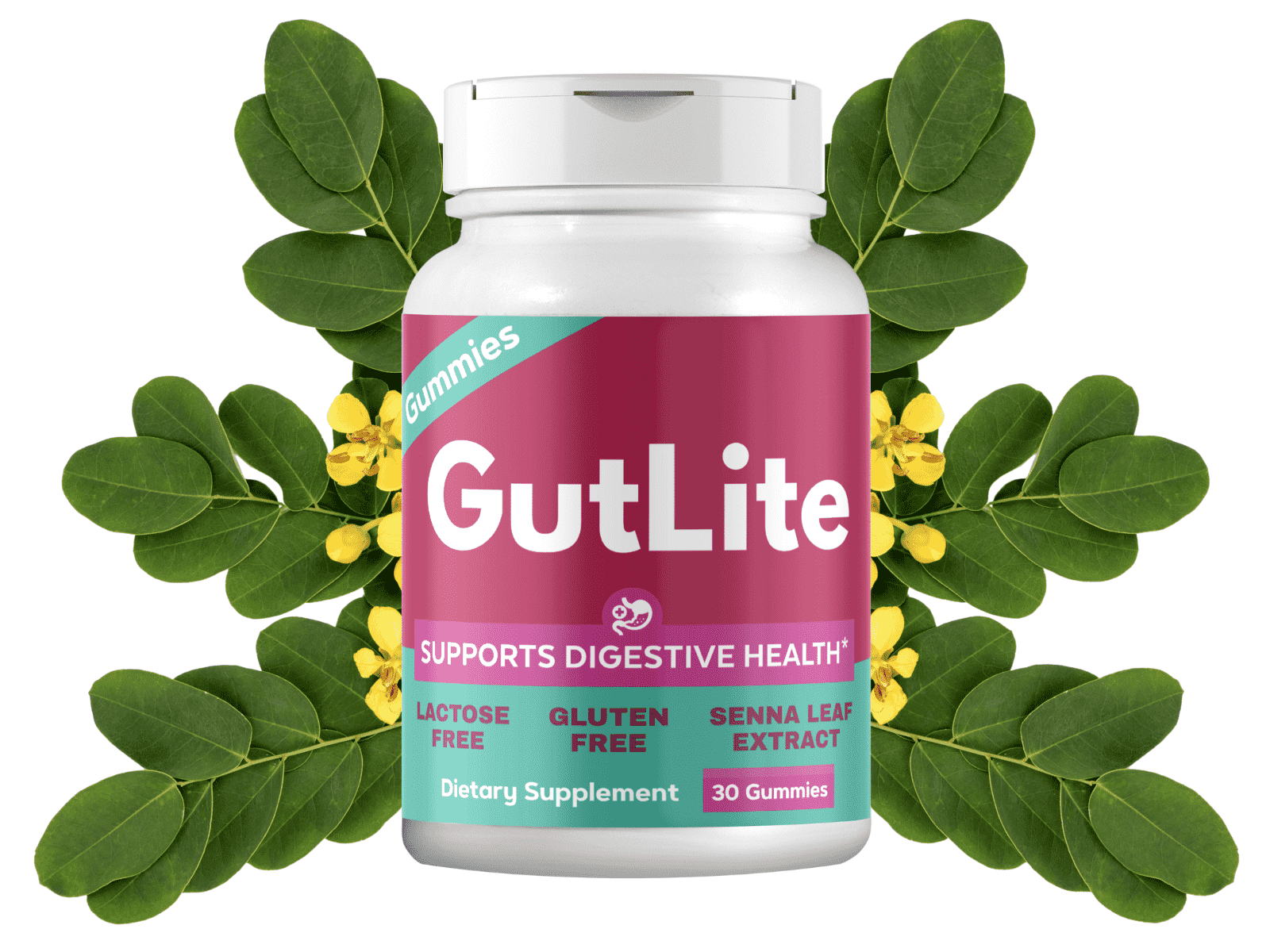 GutLite supplement